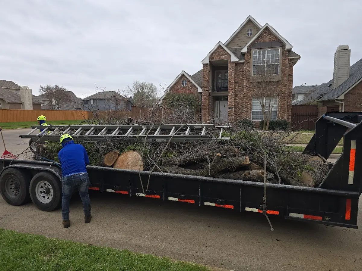 Expert Tree Fertilization with proper safety equipment in Blooming Grove